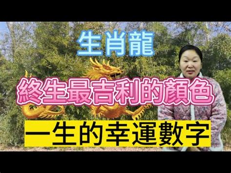 丙辰龍幸運色|生肖屬龍人的吉祥數字